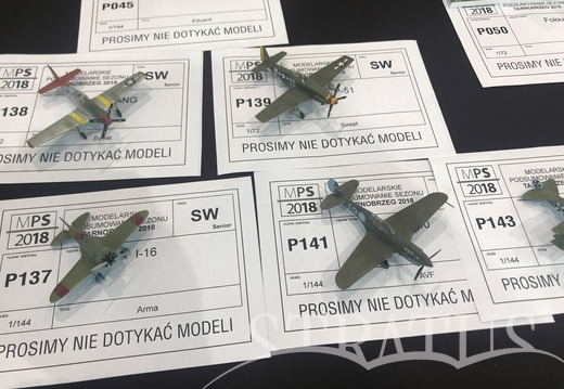 Tarnobrzeg Model Show 2018